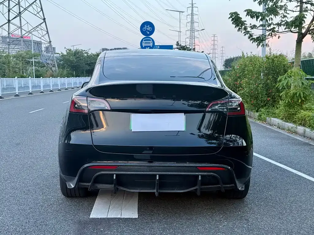 Tesla Model Y — фото 10