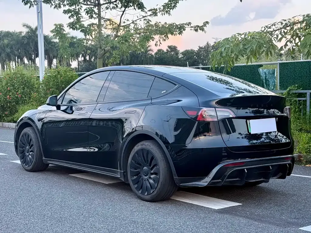 Tesla Model Y — фото 9