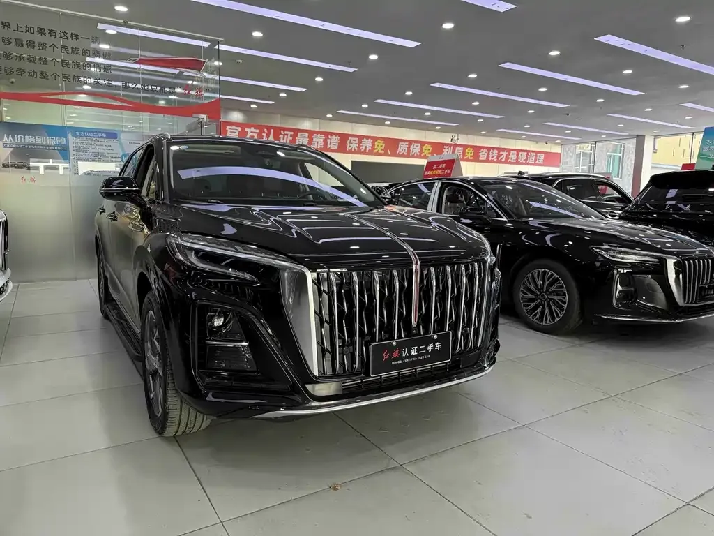 Hongqi HS3 PHEV — фото 6