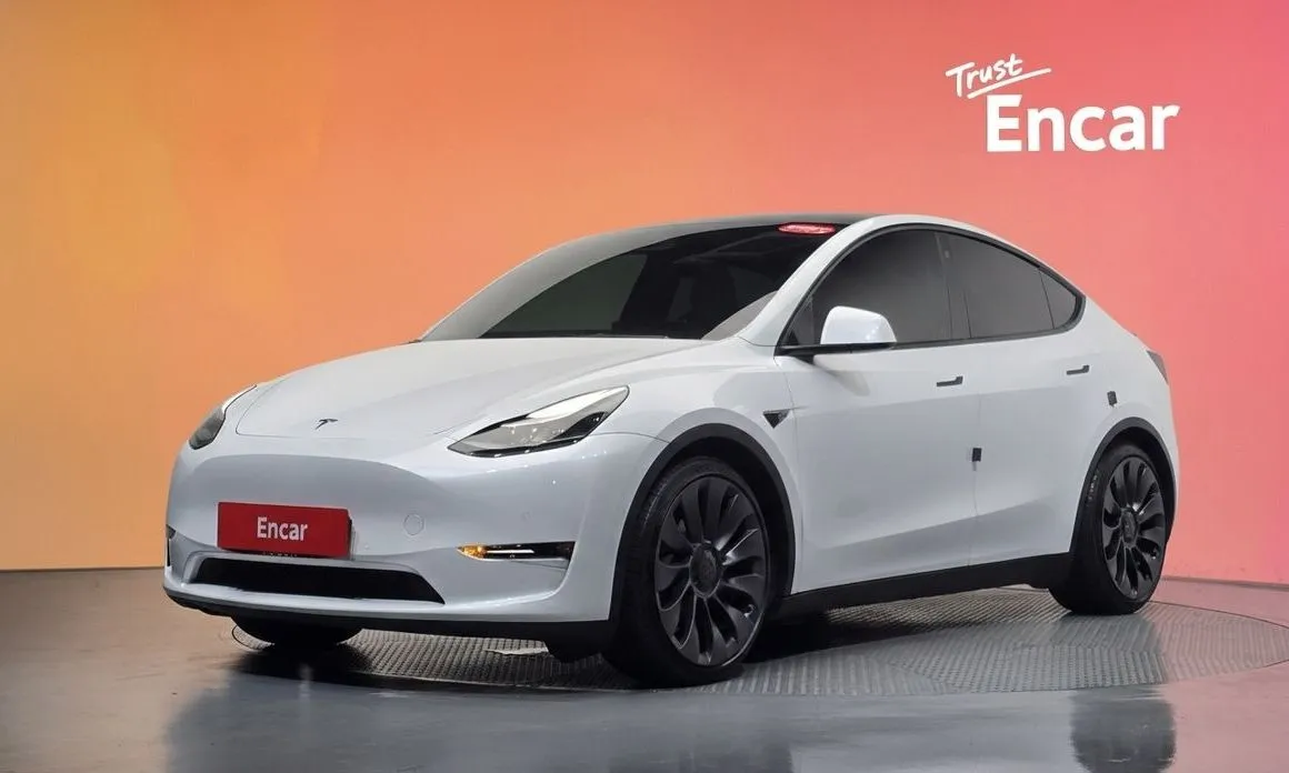 Tesla Model Y — фото 1