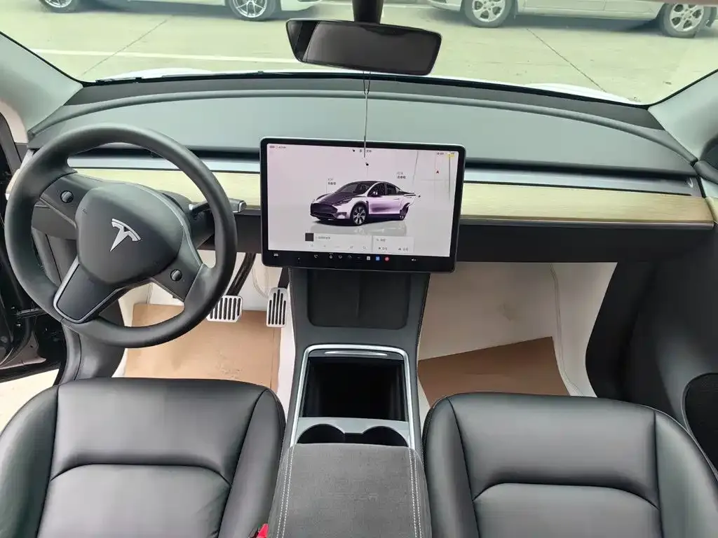 Tesla Model Y — фото 10