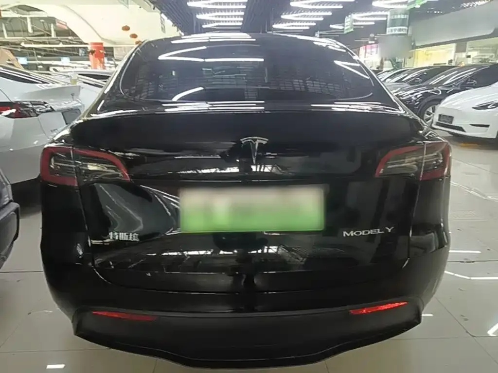 Tesla Model Y — фото 4