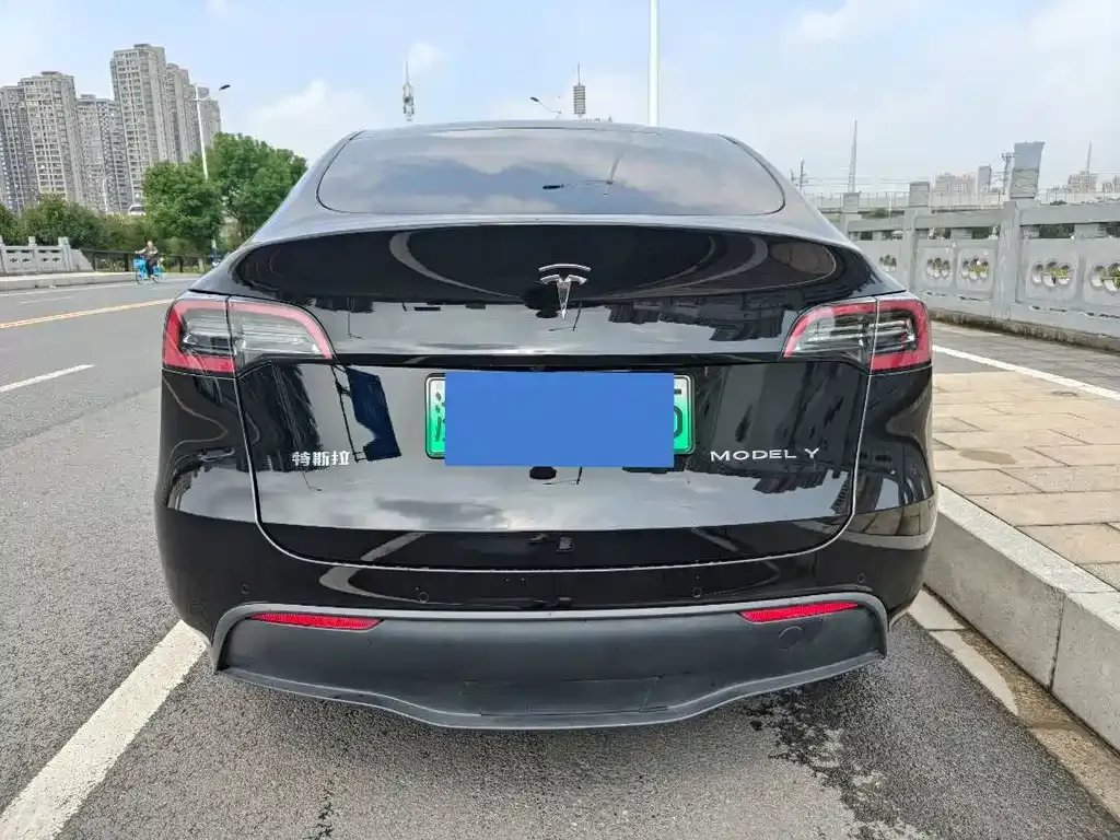 Tesla Model Y — фото 3