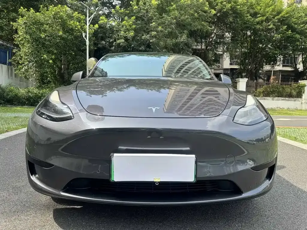 Tesla Model Y — фото 9