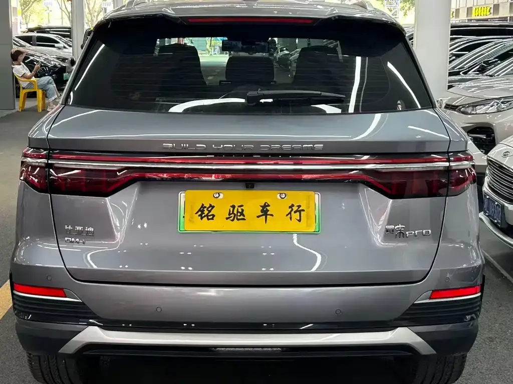 BYD Pro New Energy — фото 9