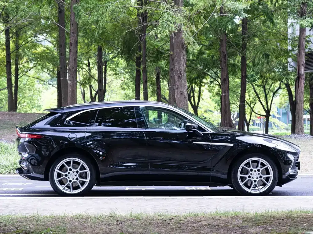 Aston Martin DBX — фото 10