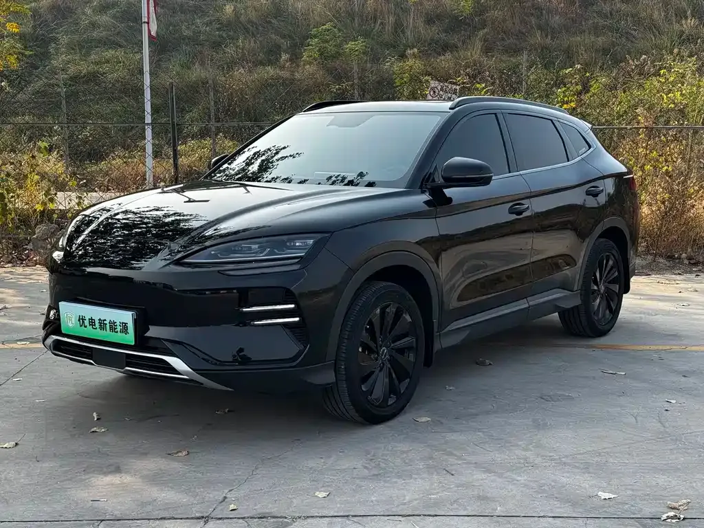 BYD PLUS New Energy — фото 1