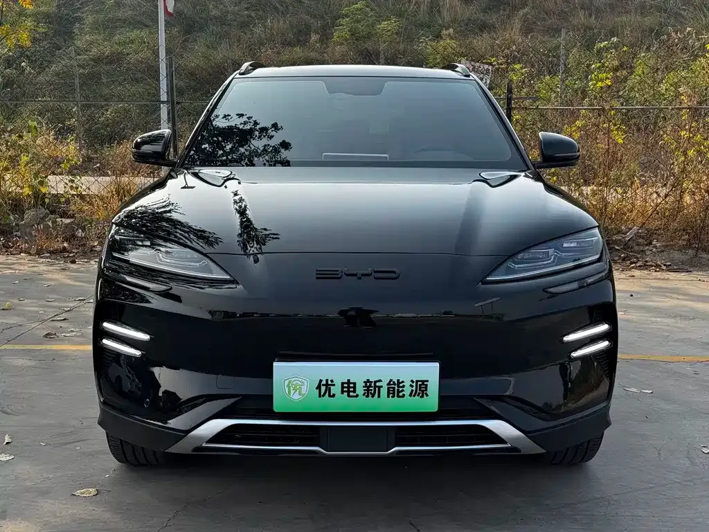 BYD PLUS New Energy — фото 7