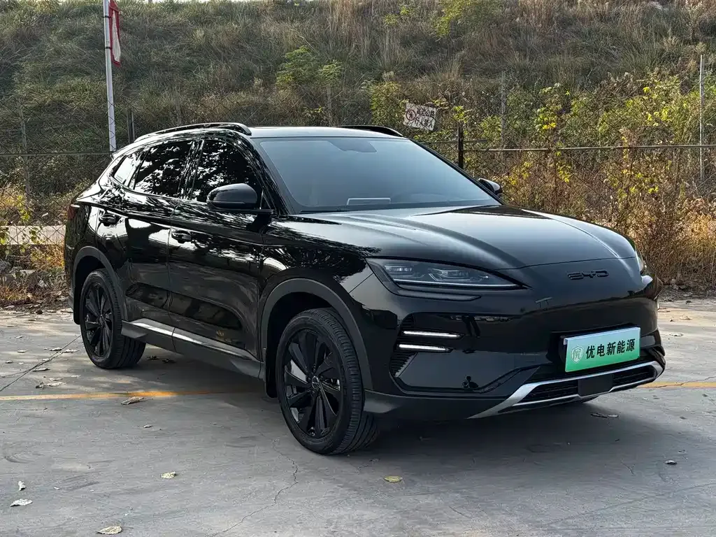 BYD PLUS New Energy — фото 10
