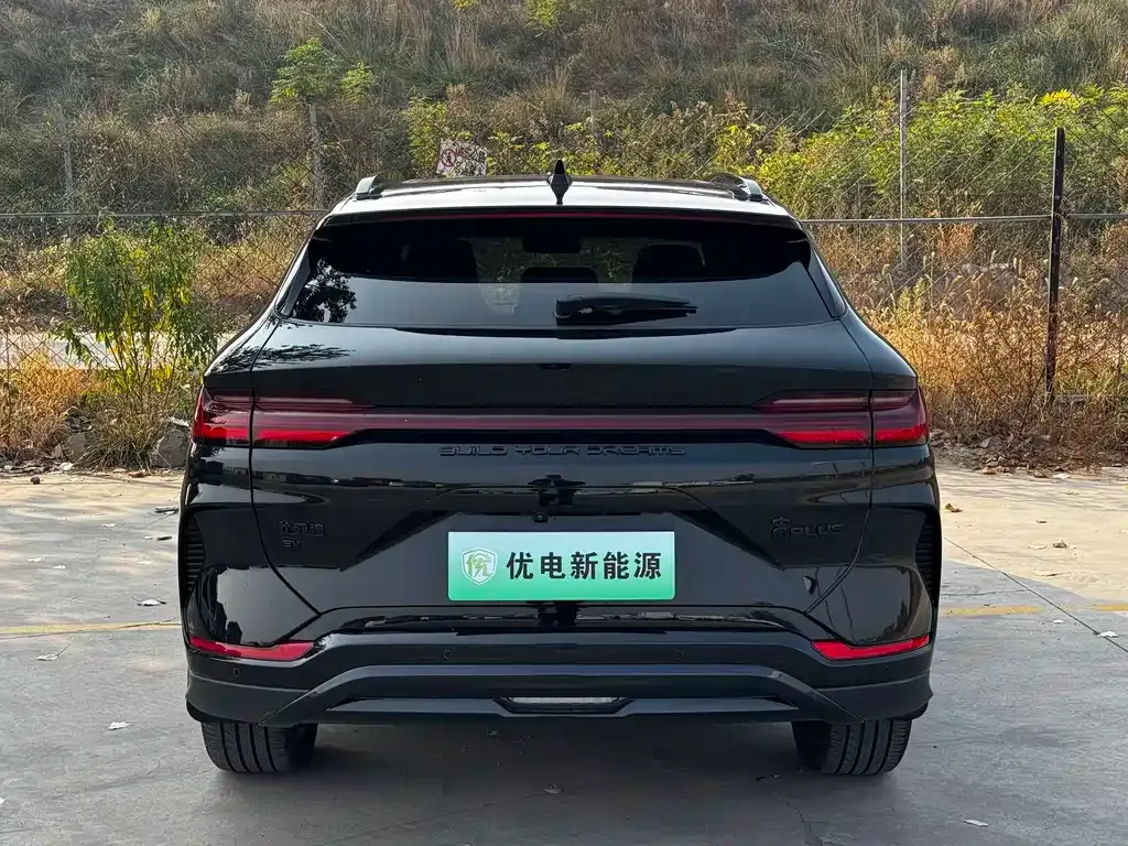 BYD PLUS New Energy — фото 2