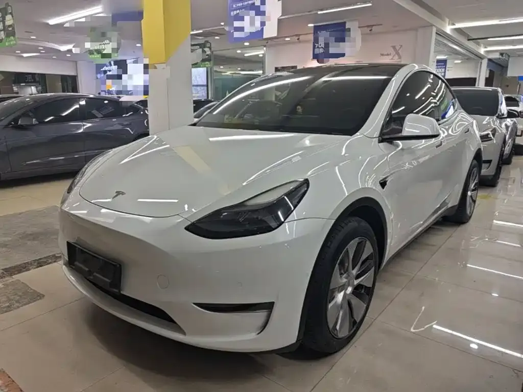 Tesla Model Y — фото 1