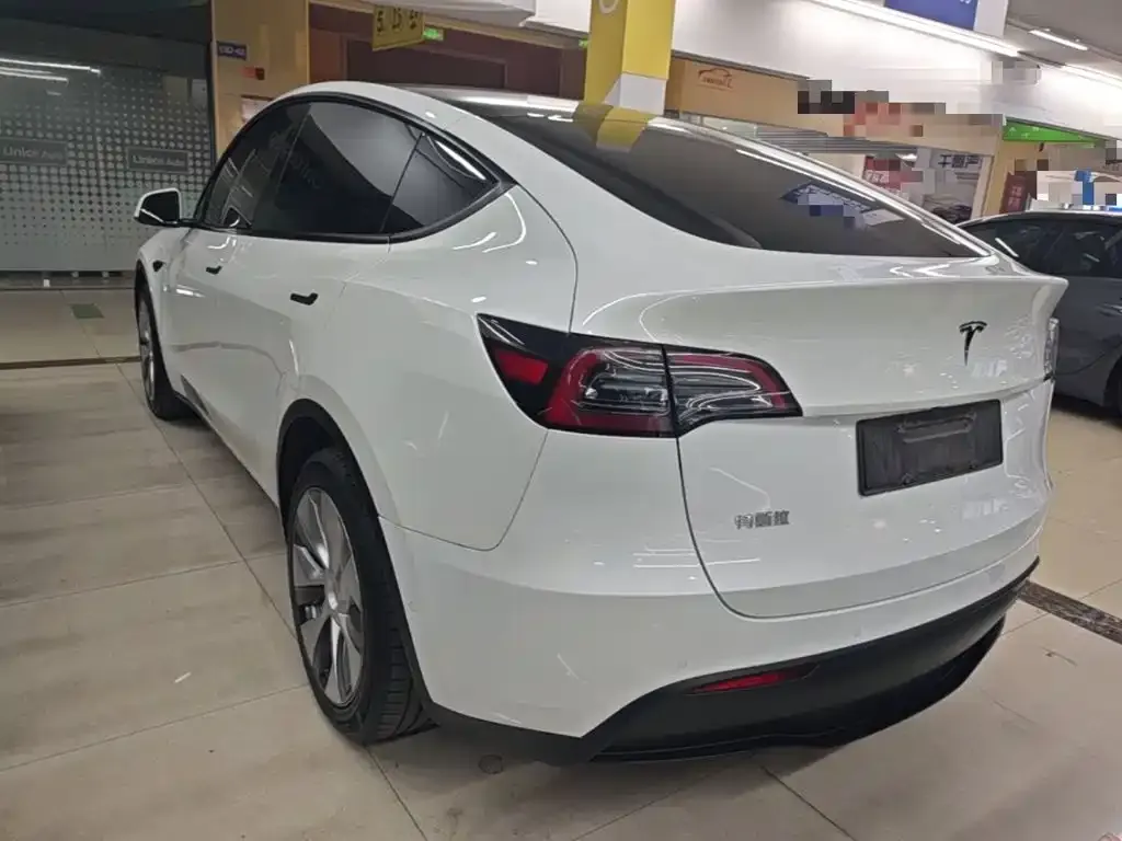 Tesla Model Y — фото 3