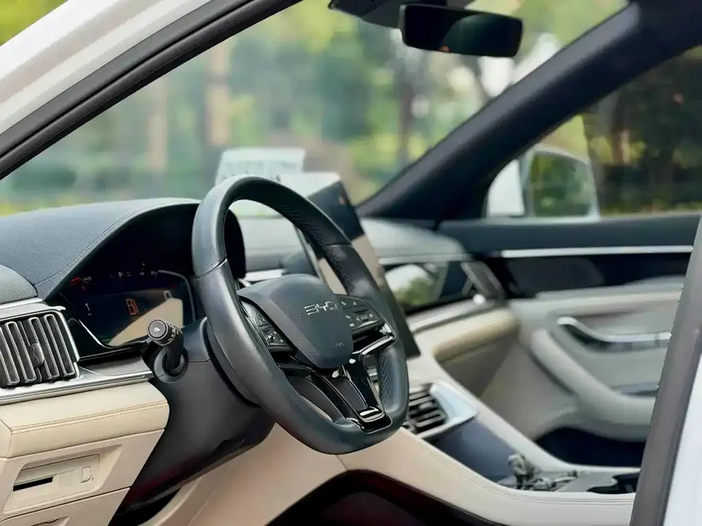 BYD PLUS New Energy — фото 6