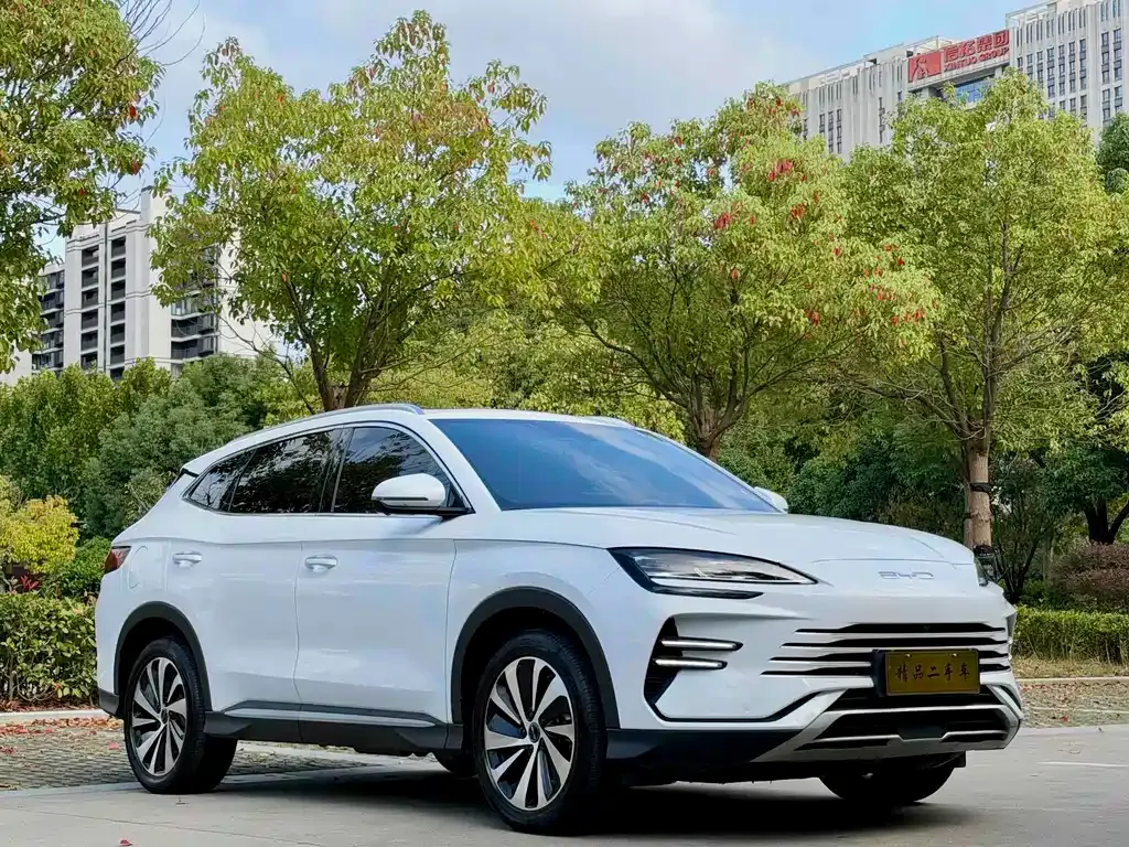 BYD PLUS New Energy — фото 10