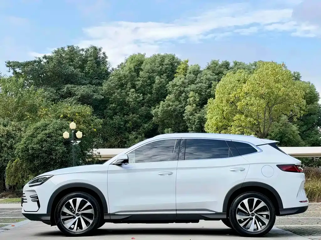 BYD PLUS New Energy — фото 4