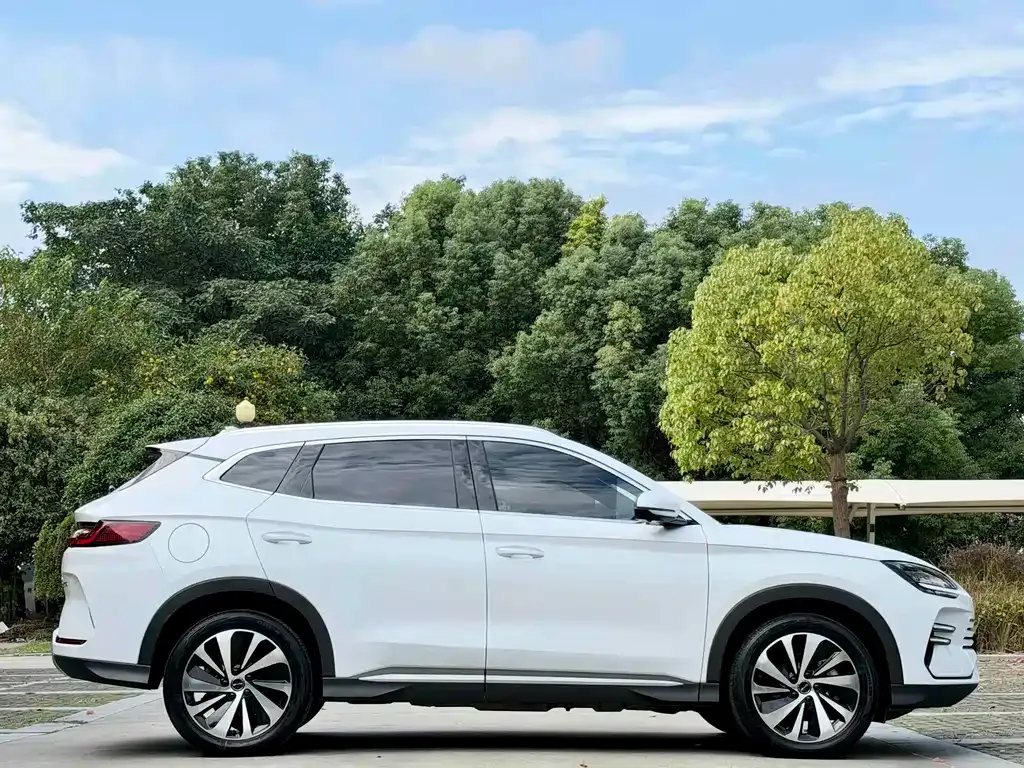 BYD PLUS New Energy — фото 3