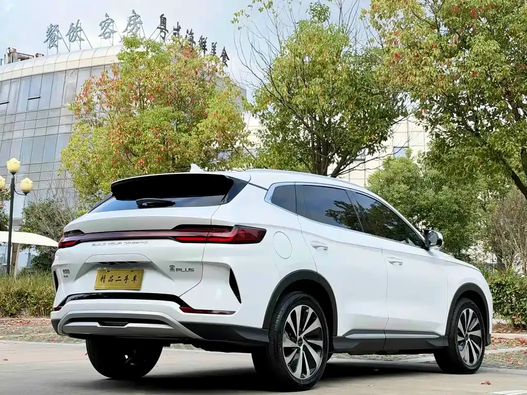 BYD PLUS New Energy — фото 5