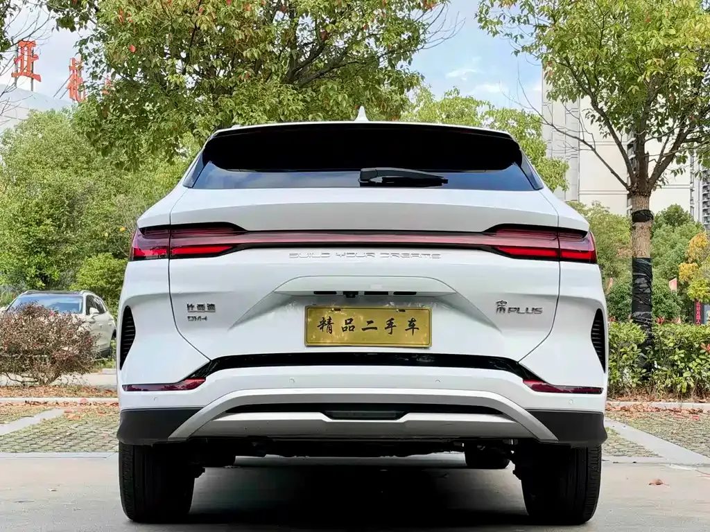 BYD PLUS New Energy — фото 7
