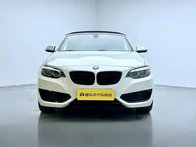 BMW 2 Series (Import) — фото 8