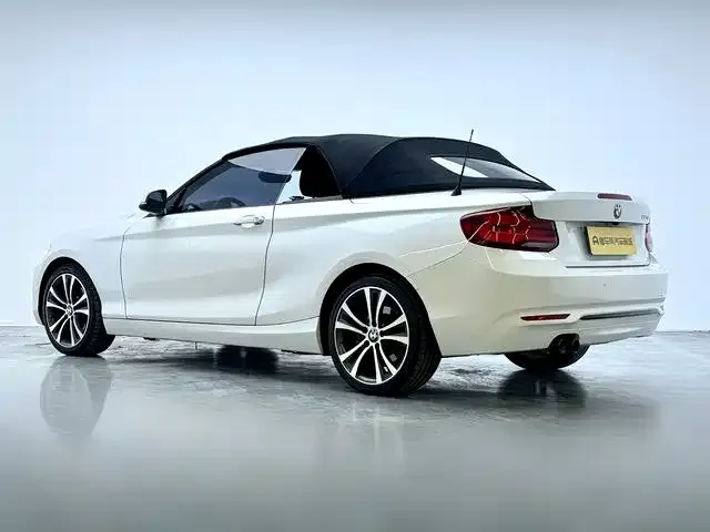 BMW 2 Series (Import) — фото 10