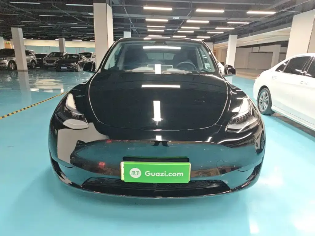 Tesla Model Y — фото 10