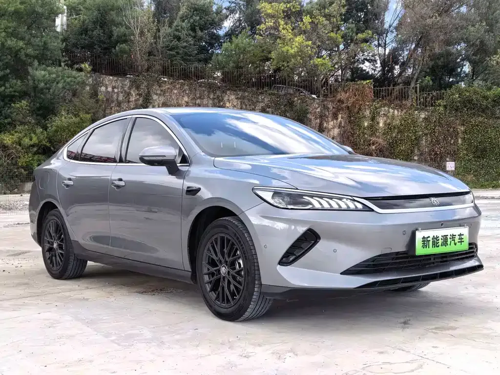 BYD Qin PLUS — фото 1