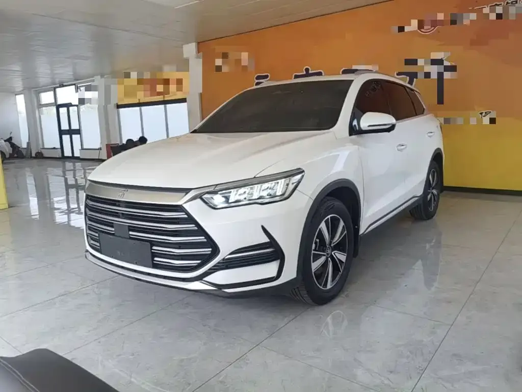 BYD Pro New Energy — фото 5