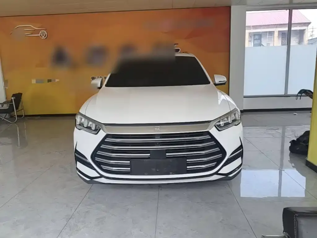 BYD Pro New Energy — фото 3