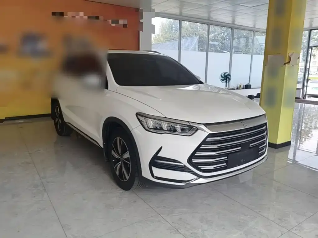 BYD Pro New Energy — фото 6