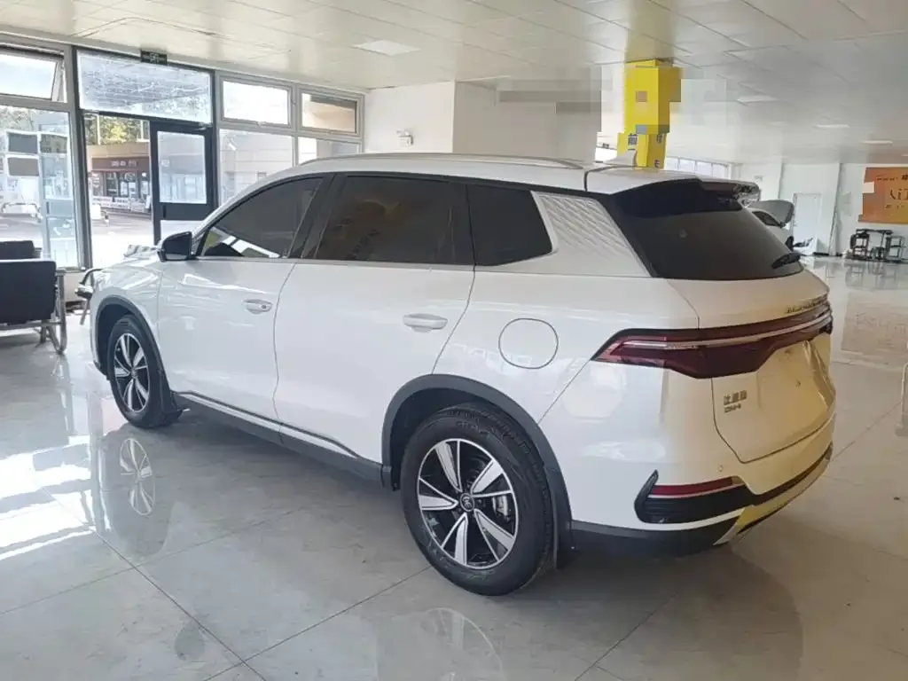 BYD Pro New Energy — фото 8