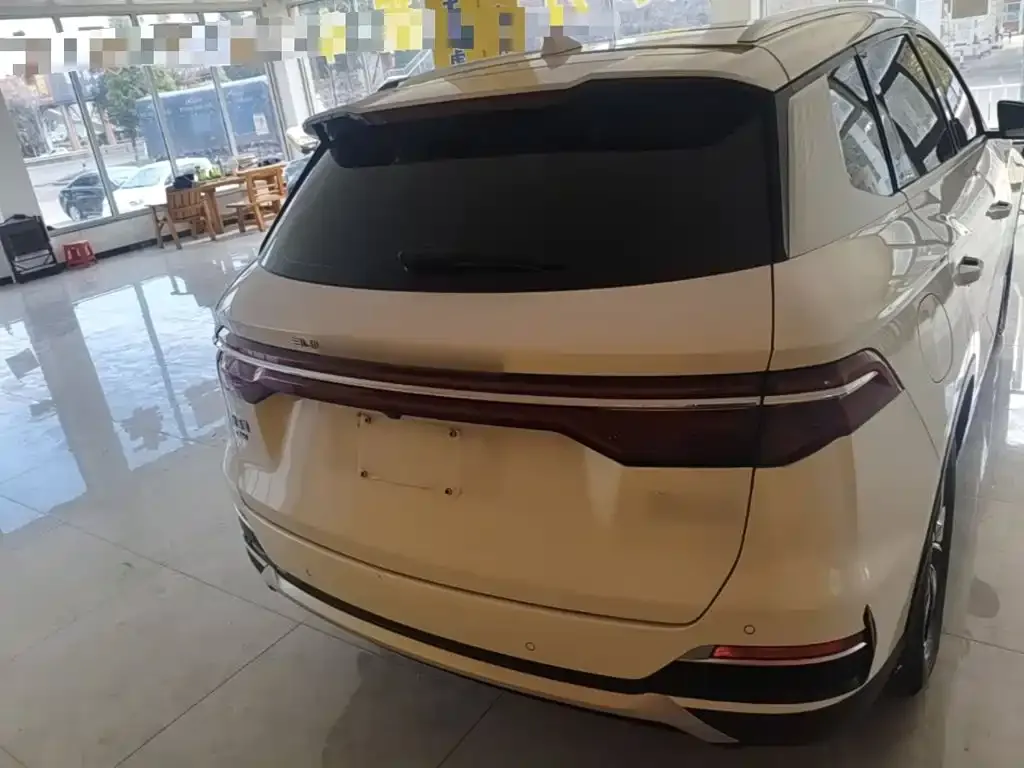 BYD Pro New Energy — фото 9