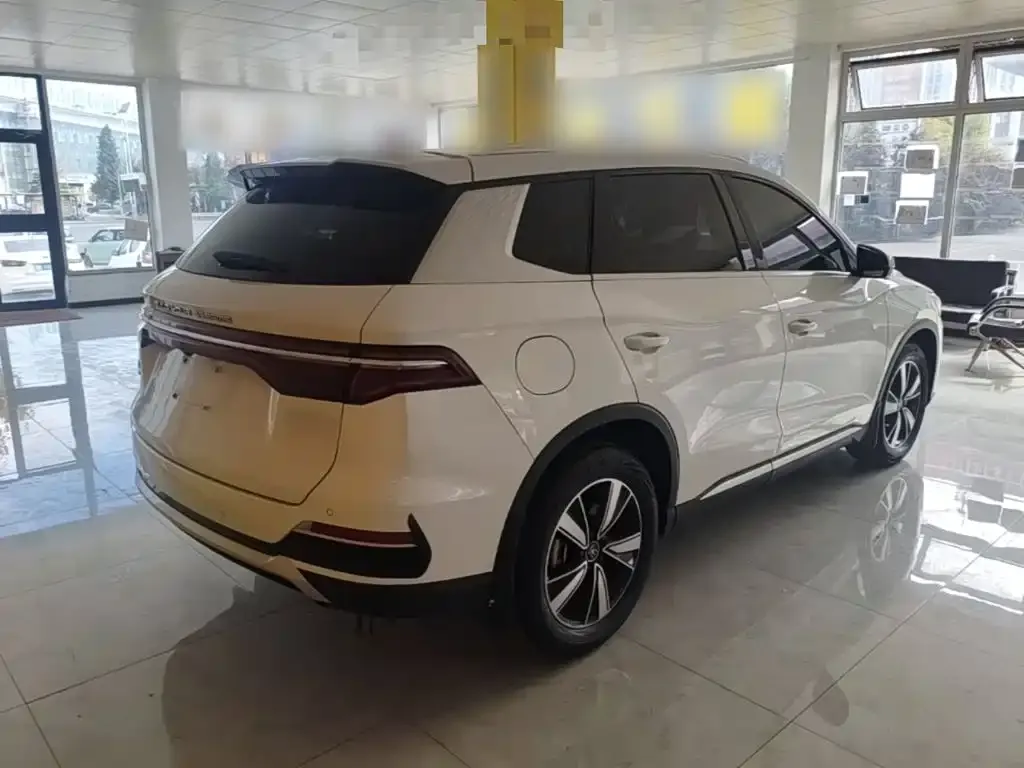 BYD Pro New Energy — фото 7