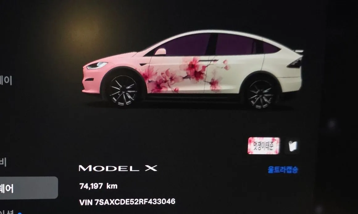 Tesla Model X — фото 6