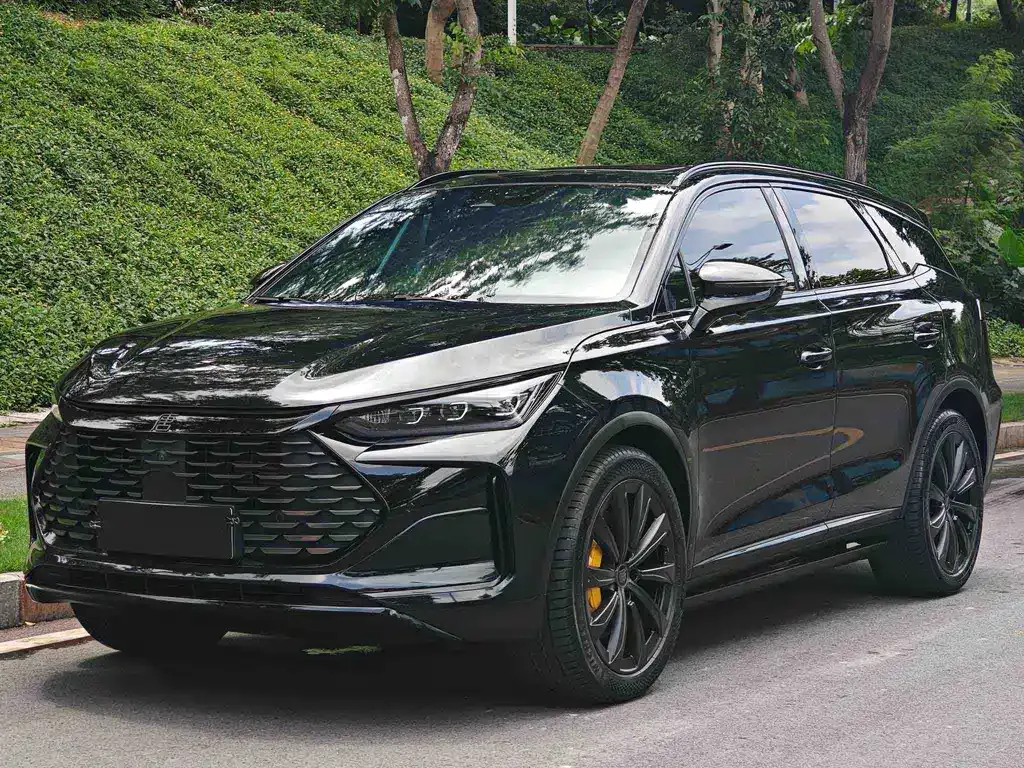 BYD Tang New Energy — фото 1