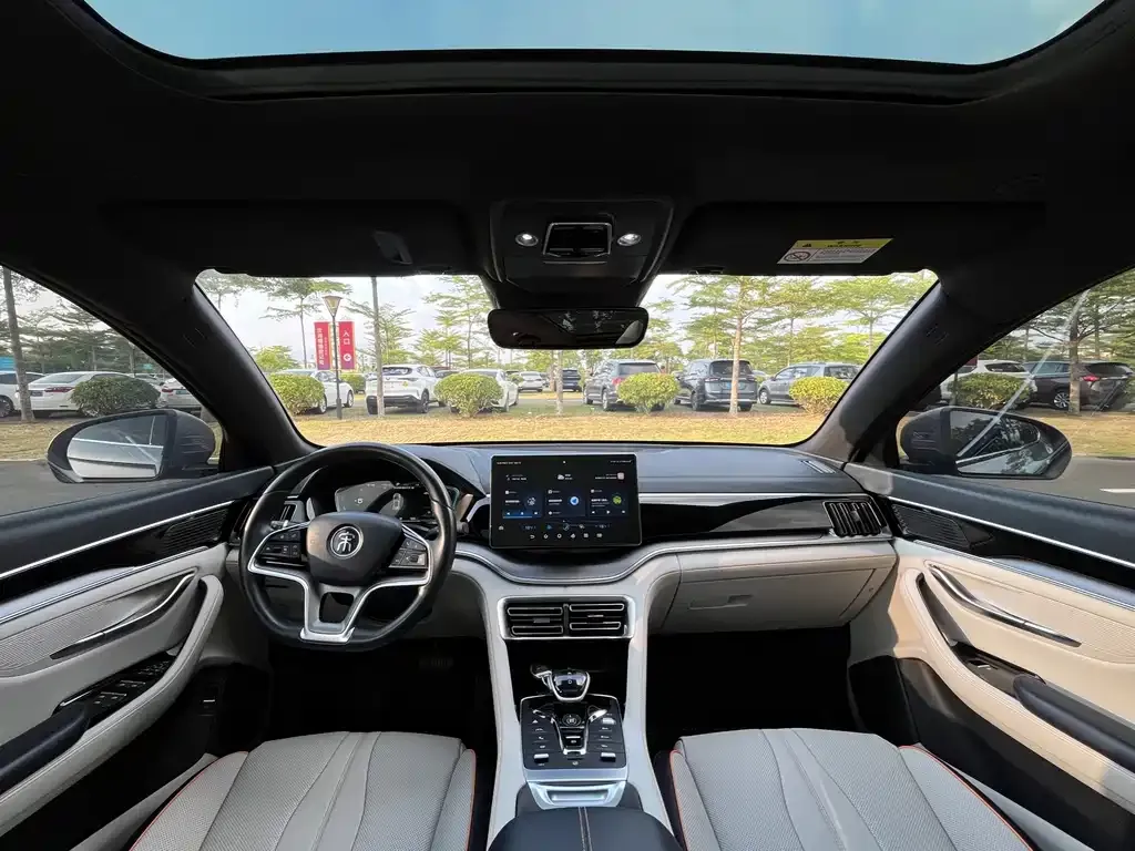 BYD PLUS New Energy — фото 4