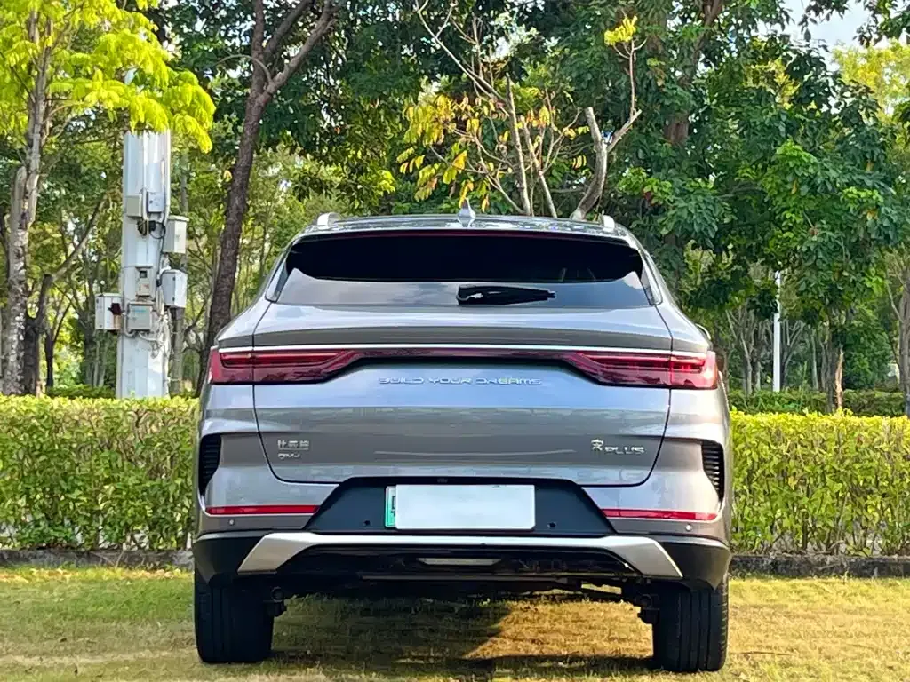 BYD PLUS New Energy — фото 8