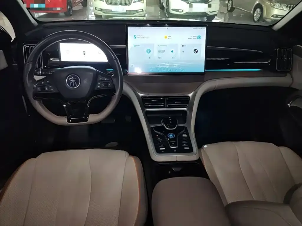 BYD Pro New Energy — фото 7