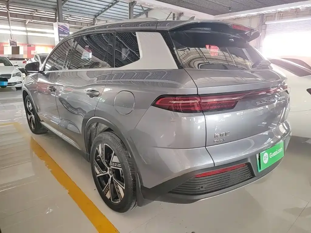 BYD Pro New Energy — фото 10