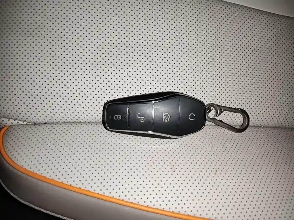 BYD Pro New Energy — фото 6