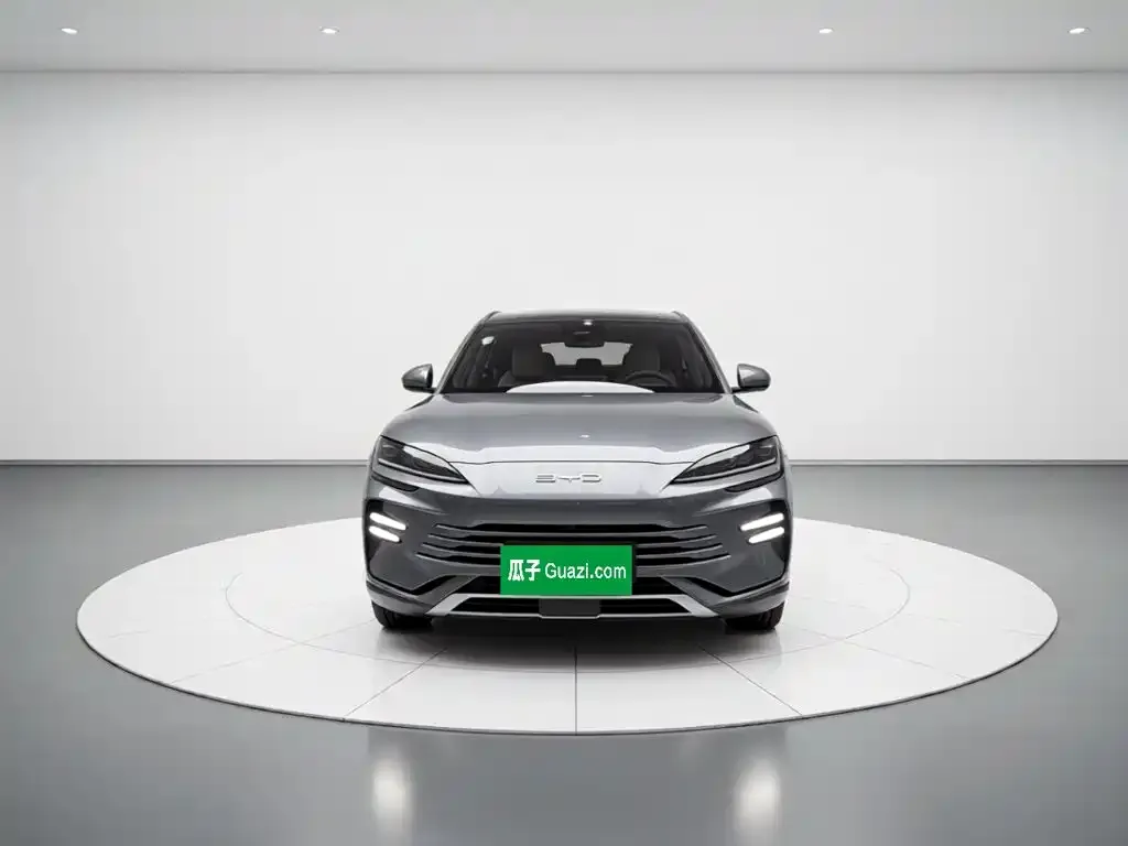 BYD PLUS New Energy — фото 2