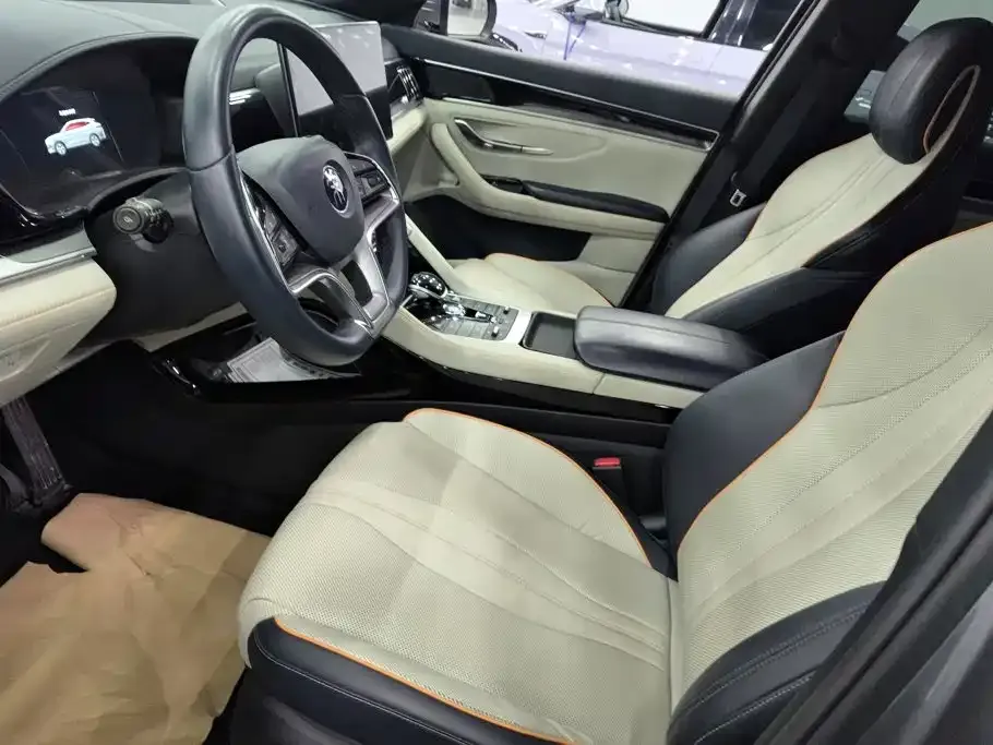 BYD PLUS New Energy — фото 10