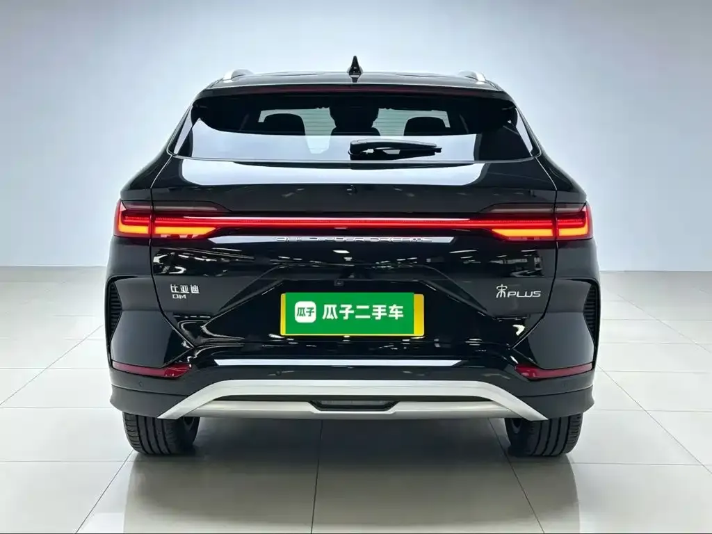 BYD PLUS New Energy — фото 2