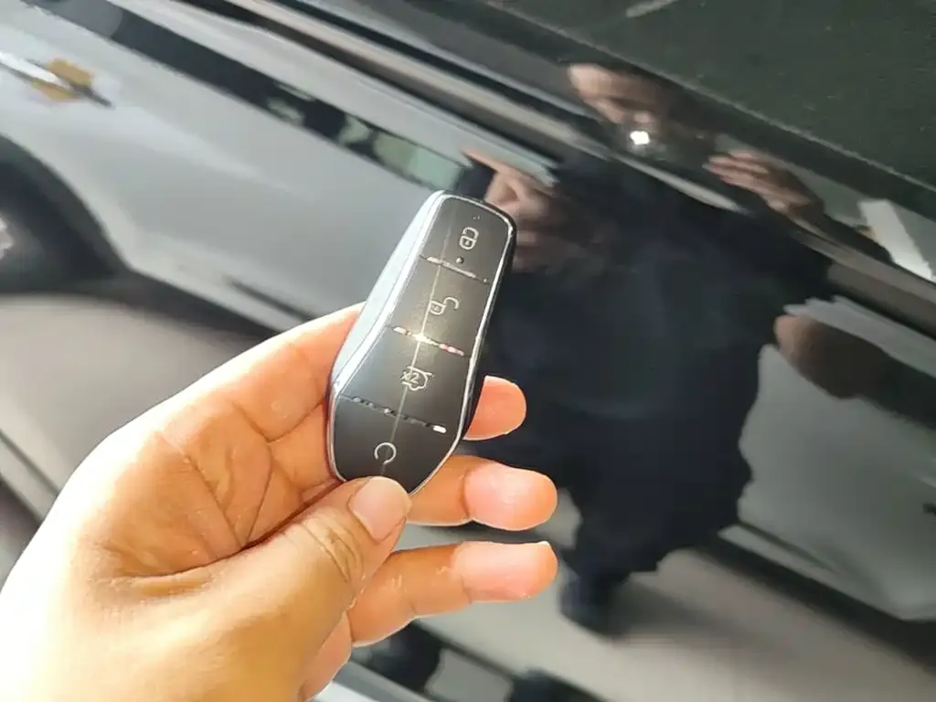 BYD PLUS New Energy — фото 4