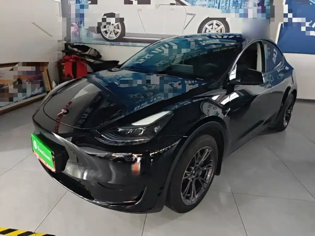 Tesla Model Y — фото 5