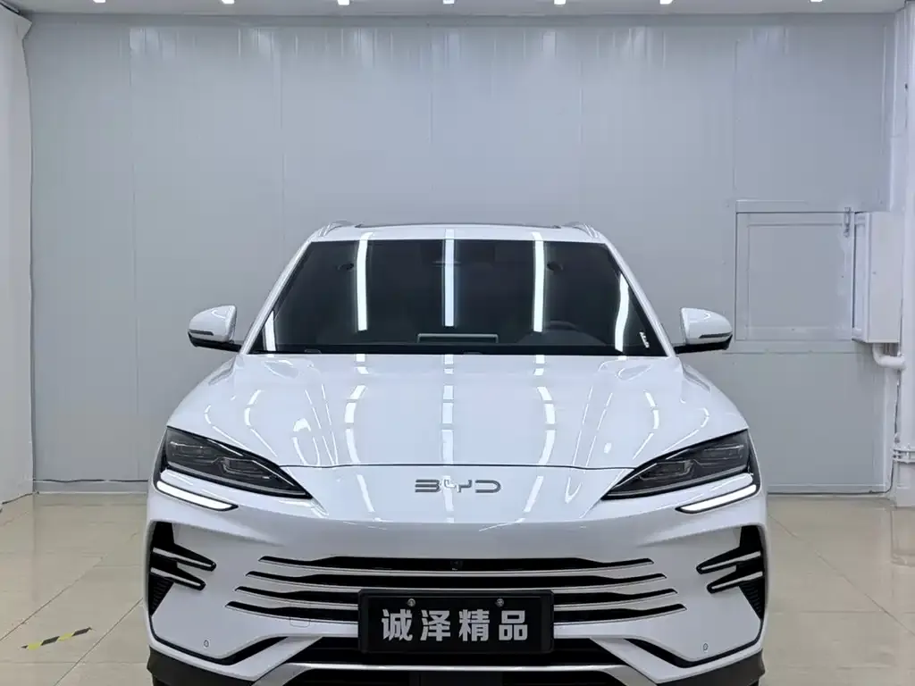 BYD PLUS New Energy — фото 3