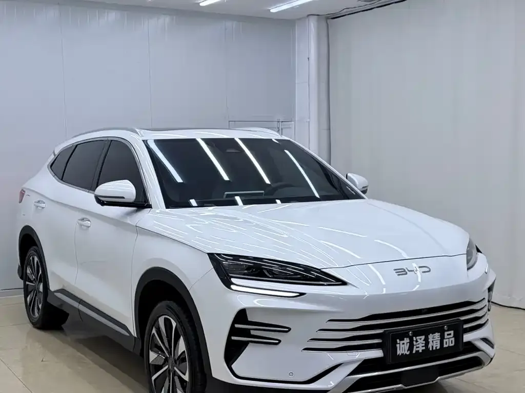 BYD PLUS New Energy — фото 10