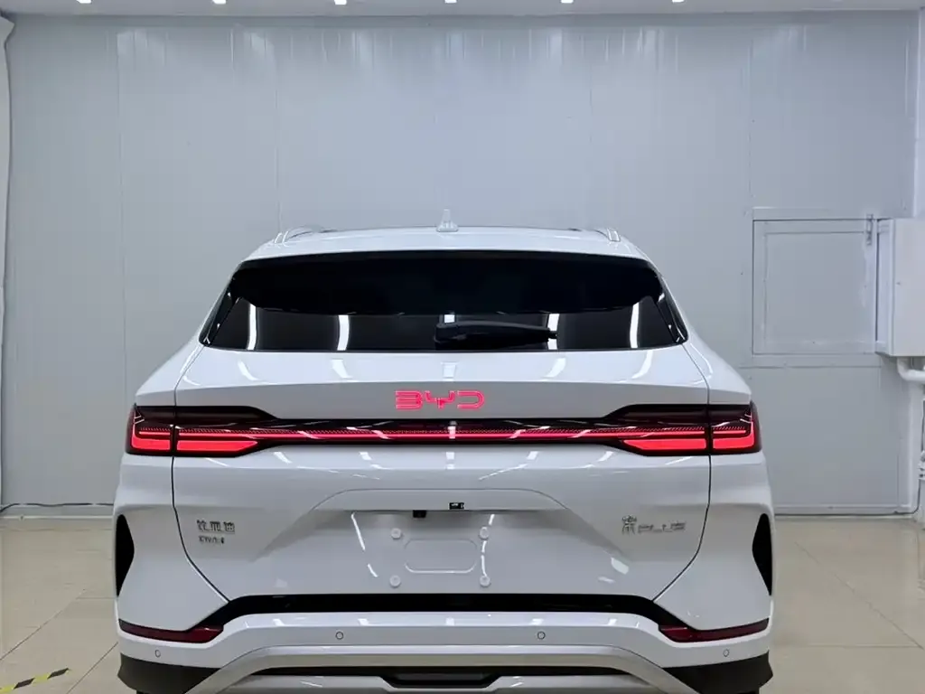 BYD PLUS New Energy — фото 4
