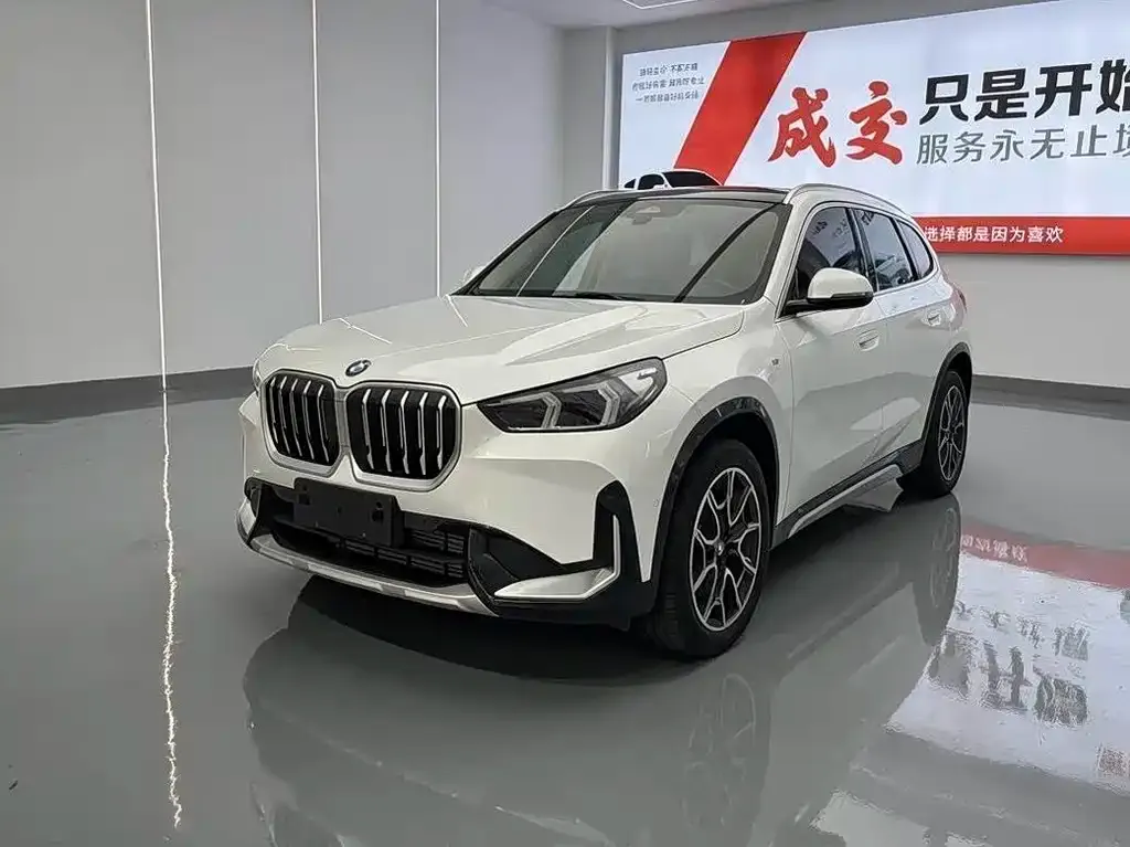 BMW X1 — фото 1