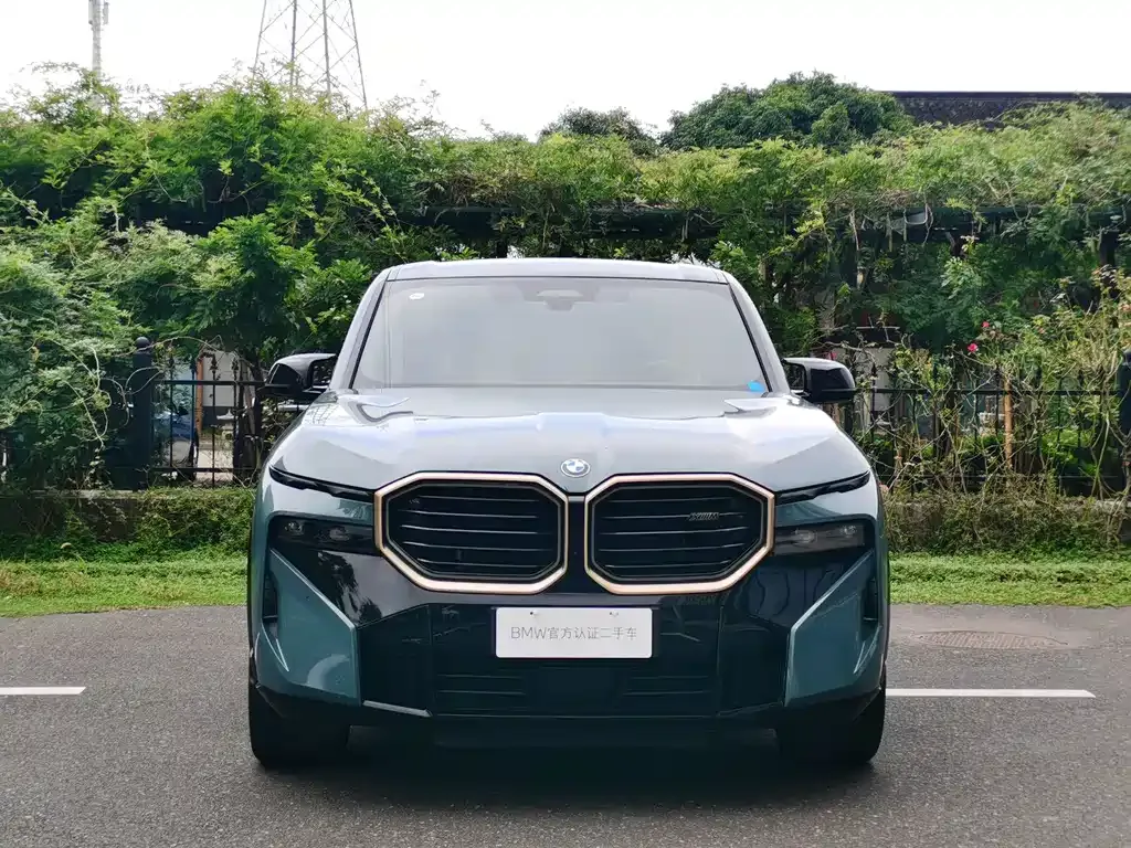 BMW XM — фото 8