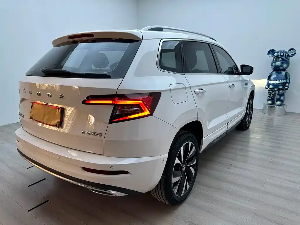 Skoda Karoq — фото 9